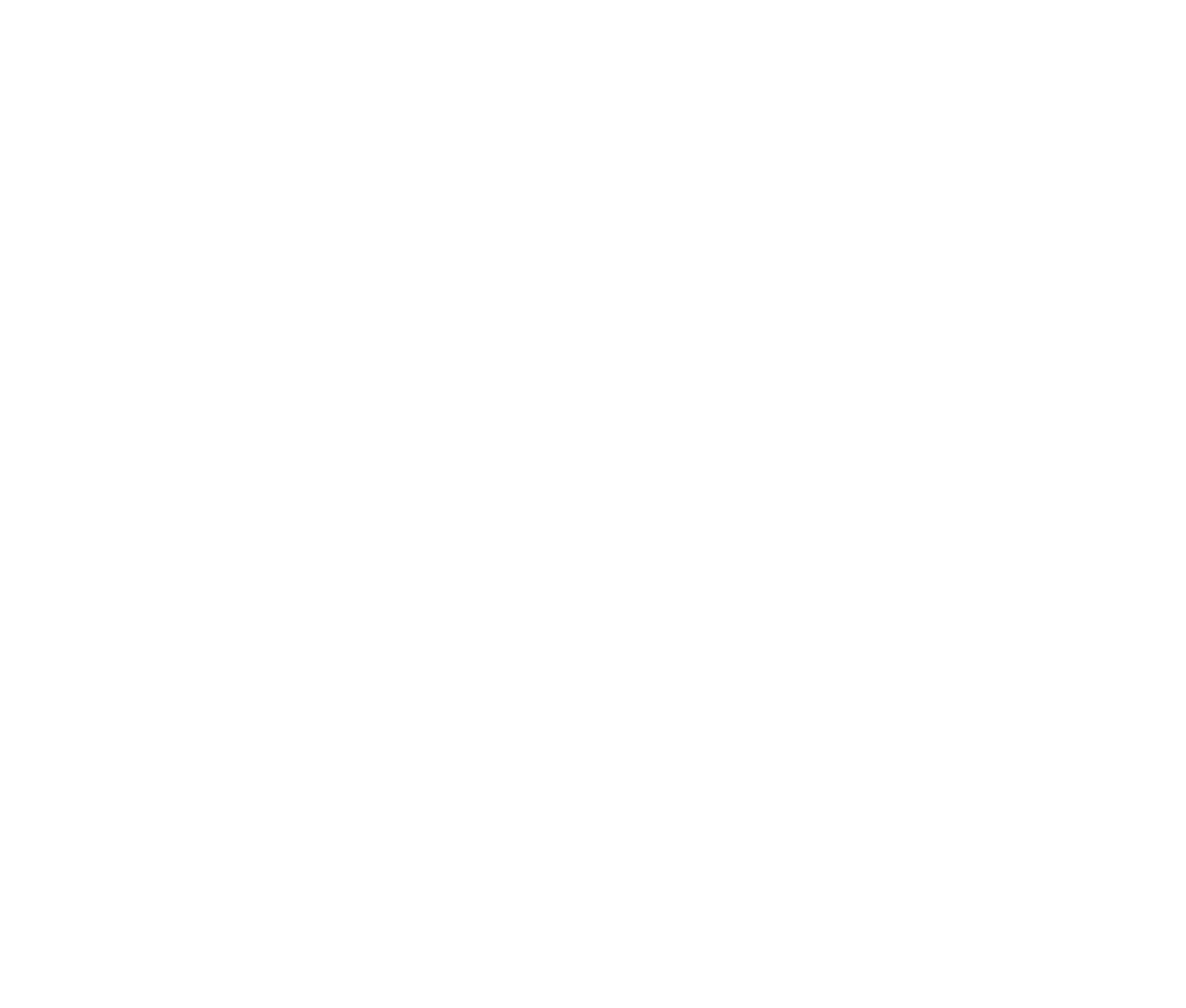 Version management systems