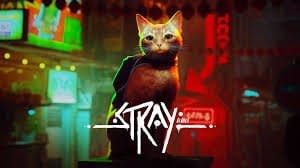Algoryte images 1