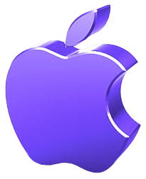 Algoryte width 800 9 e1750250988566