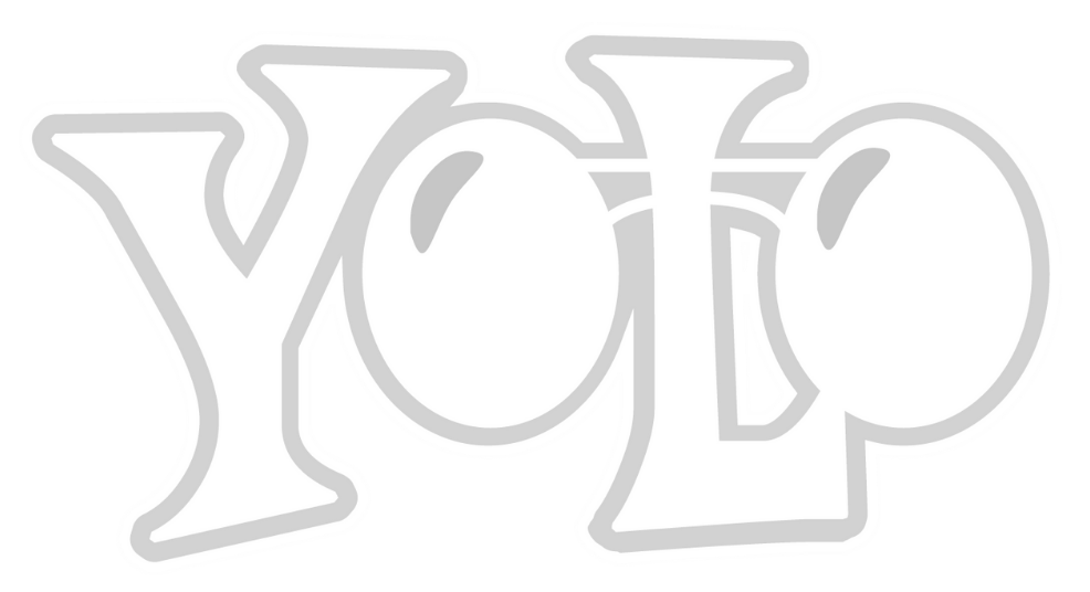 YOLO computer vision