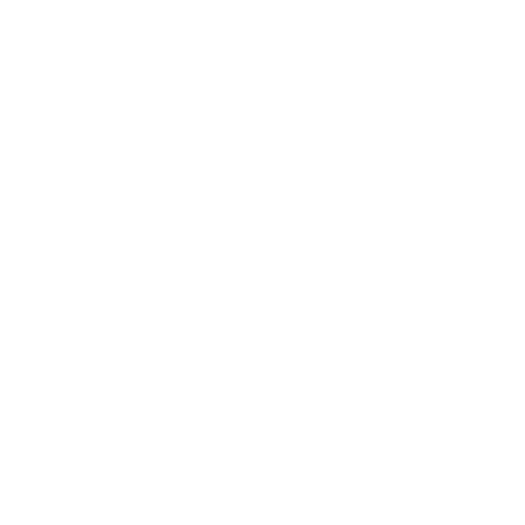 Asset bundle management