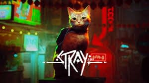 Stray: Internet’s new favorite feline 7 Algoryte images 1