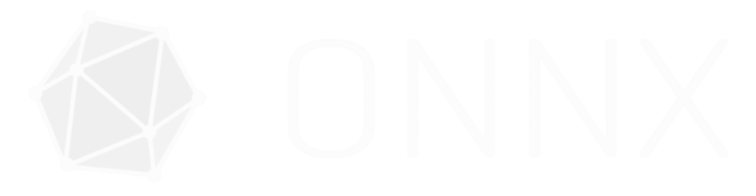 ONNX model optimization