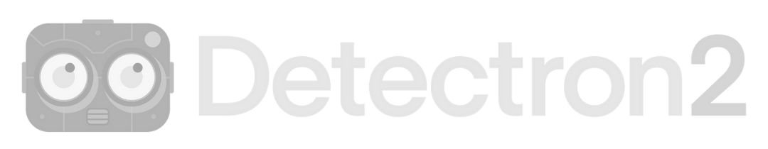 Detectron2 computer vision