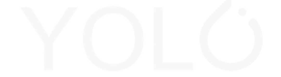 YOLO pre-trained models