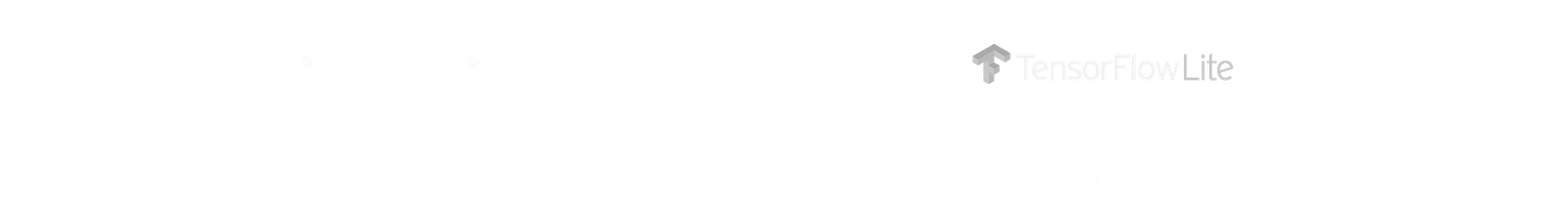 Algoryte Computer Vision Services 12